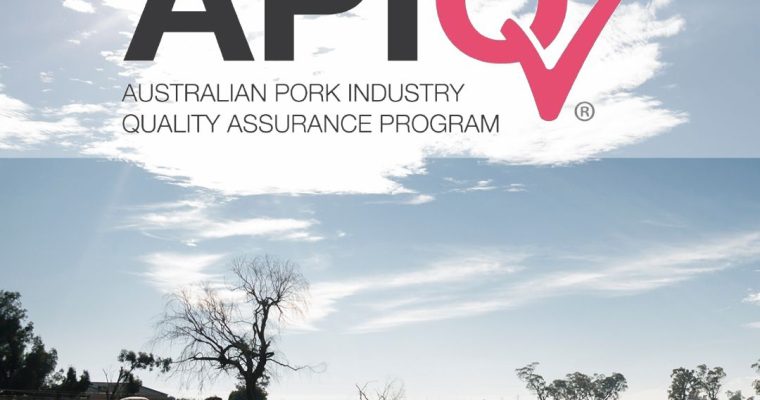 What does the APIQ® tick mean?